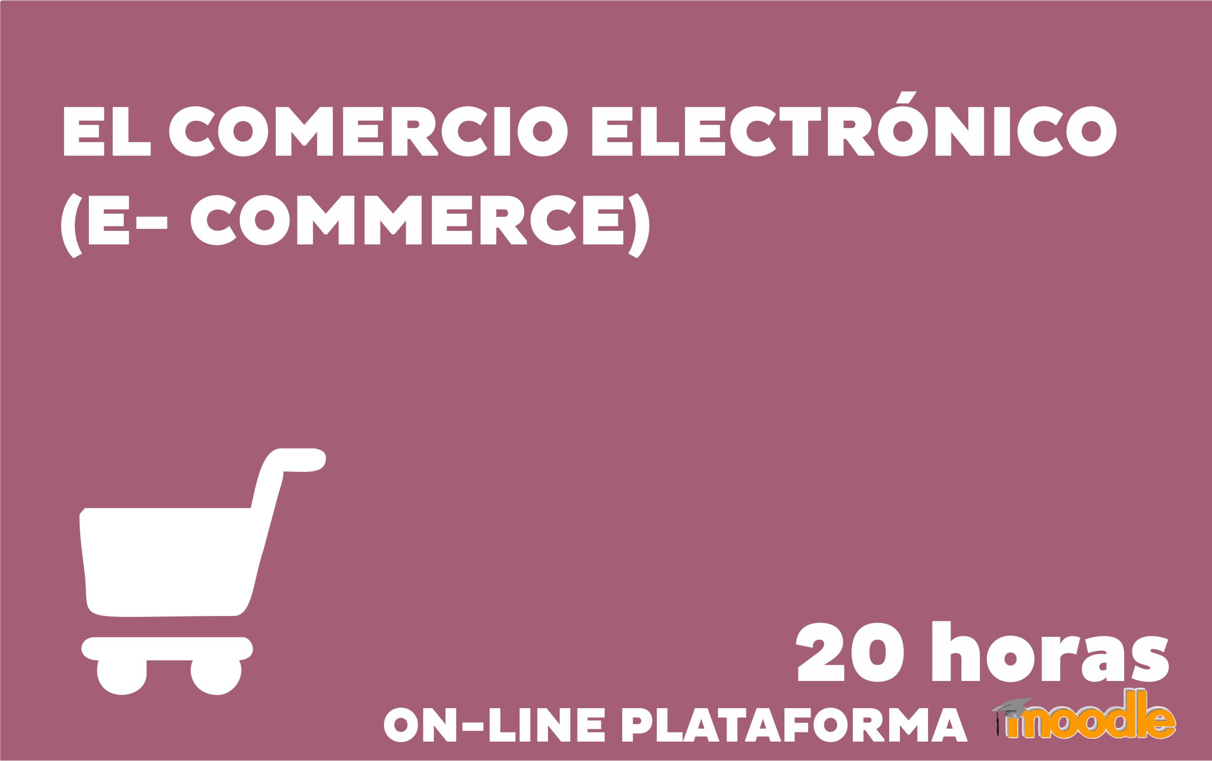 Ecommerce2